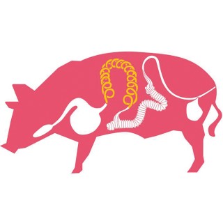 Boyaux de Porc